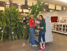 Visit the Eau Claire County Fair hosted at The Expo Center